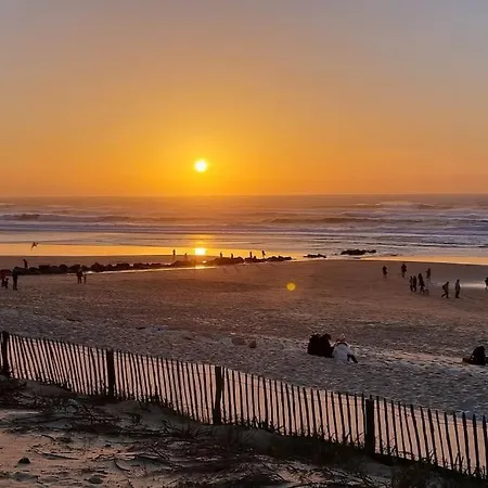 Moderne Grande Piscine Ocean Pinede