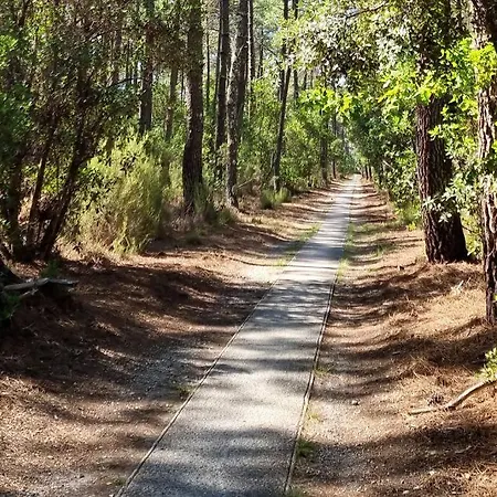 Moderne Grande Piscine Ocean Pinede * Lacanau