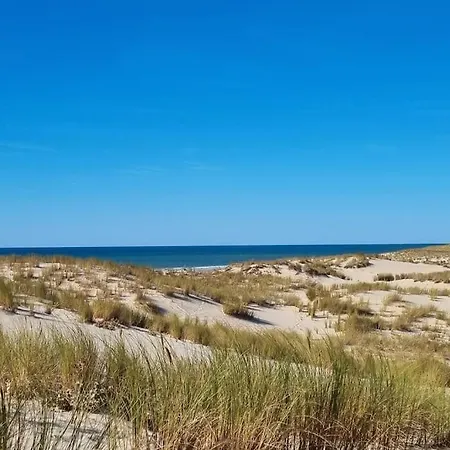 Moderne Grande Piscine Ocean Pinede Lägenhet