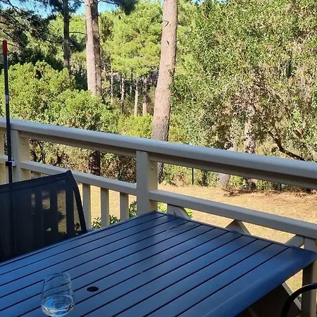 Moderne Grande Piscine Ocean Pinede *