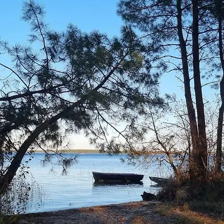 Lägenhet Moderne Grande Piscine Ocean Pinede
